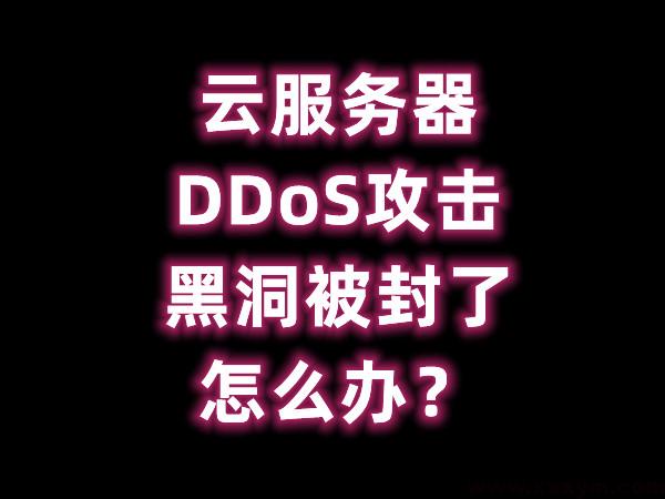 服务器 DDoS 攻击黑洞被封了怎么办？-蝙蝠源码网